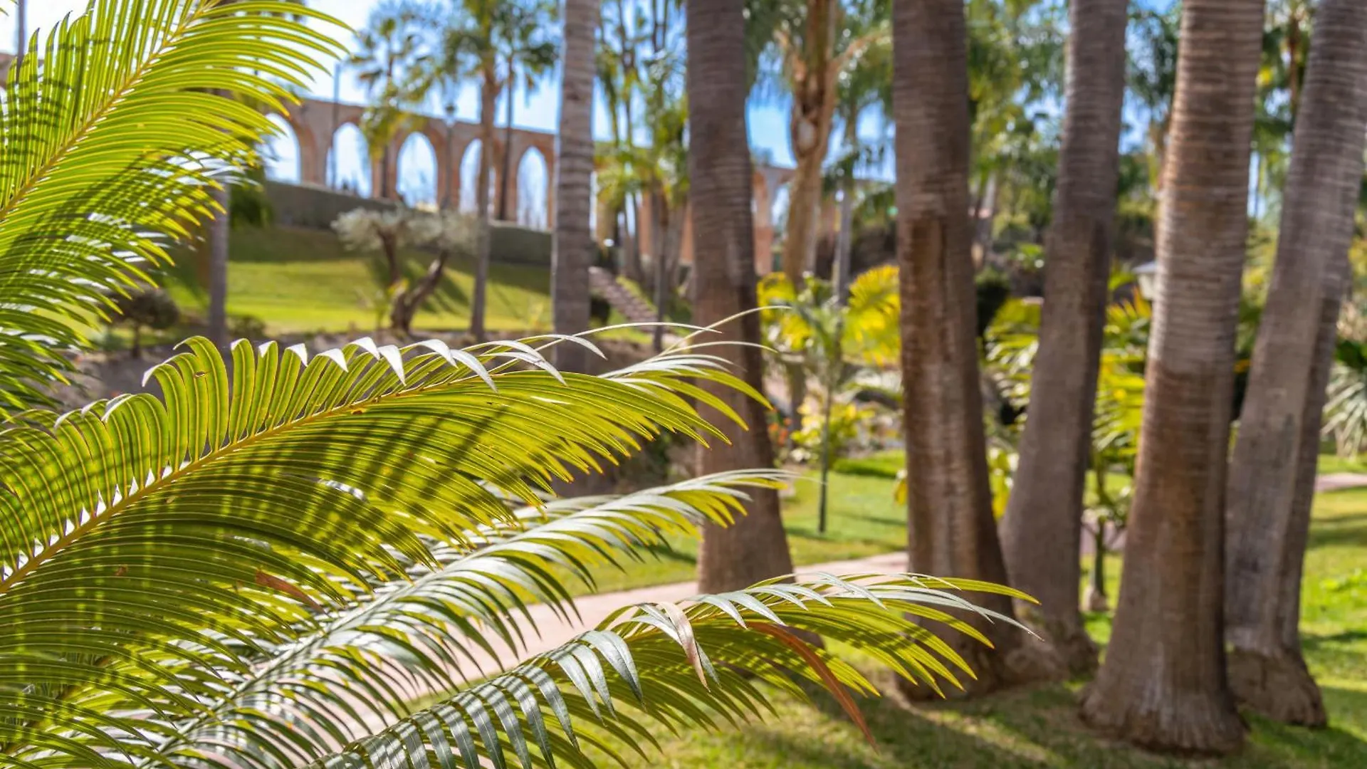 Las Palmas 4B Oasis Properties Nerja