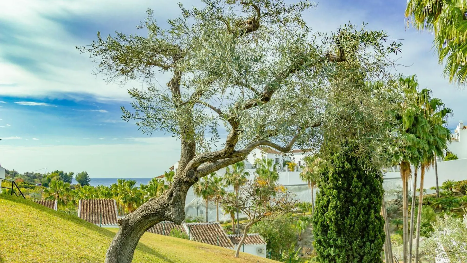 Las Palmas 4B Oasis Properties Nerja Spain