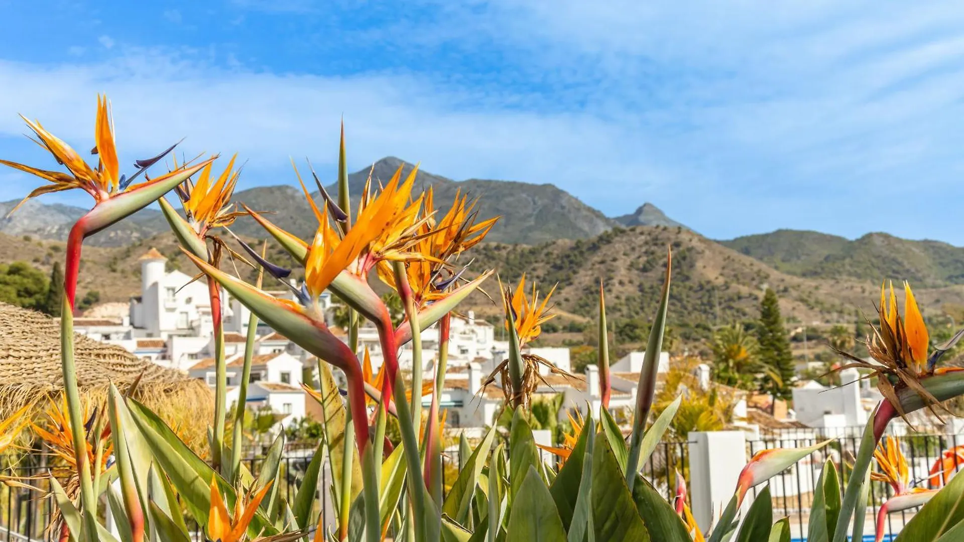 Las Palmas 4B Oasis Properties Nerja 0*,  Spain