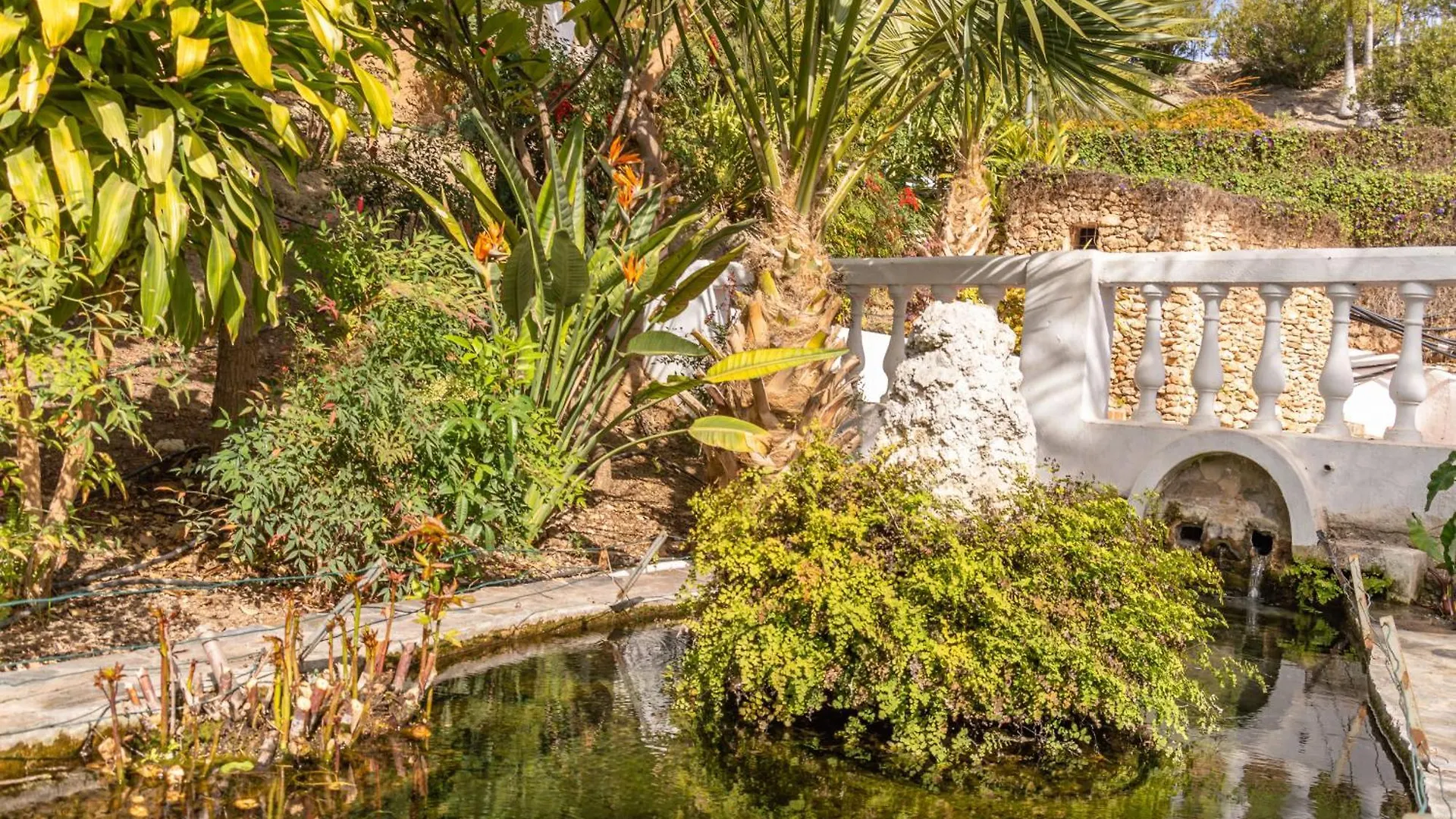 Appartamento Las Palmas 4B Oasis Properties Nerja Spagna