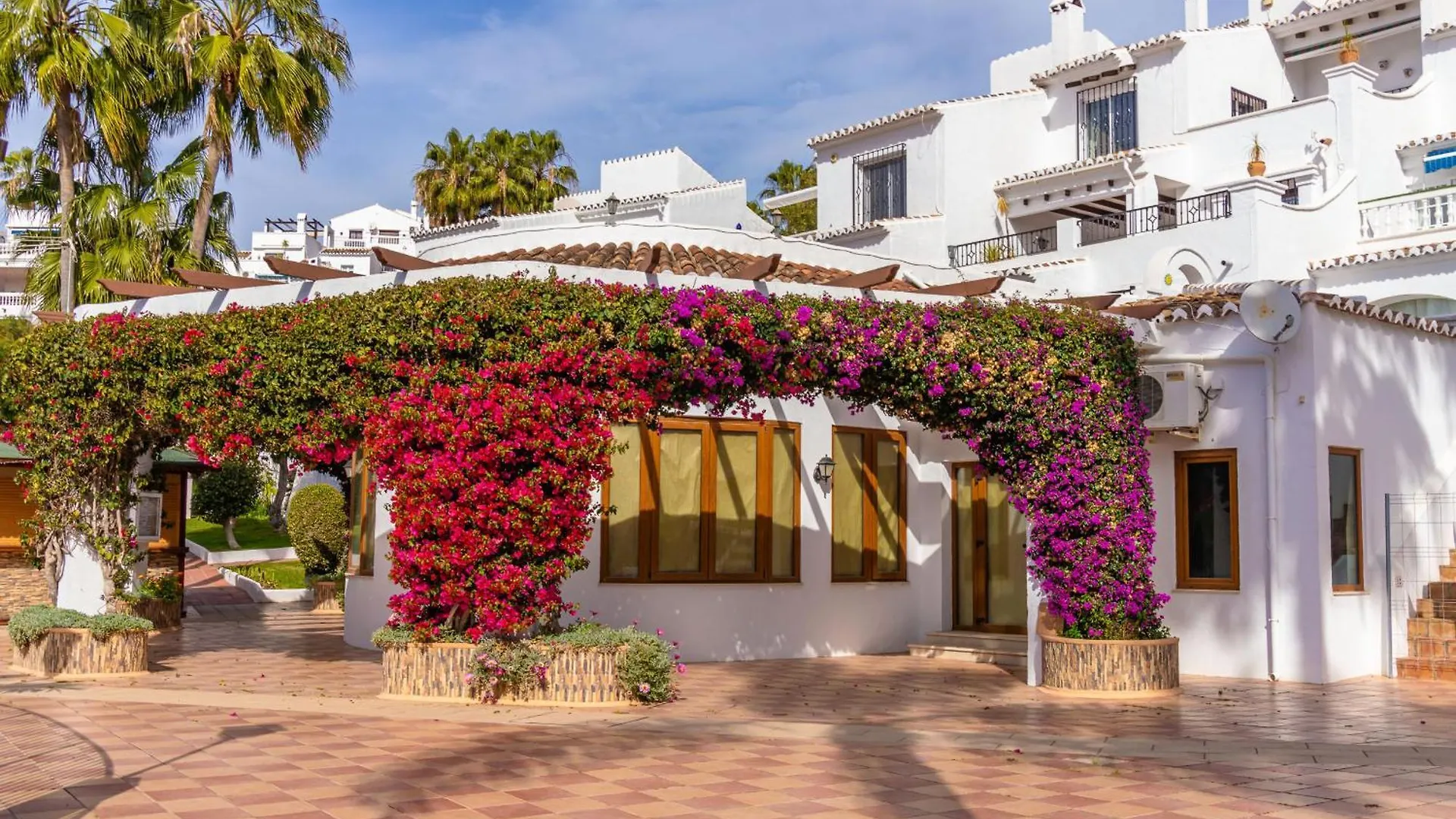 Las Palmas 4B Oasis Properties Nerja